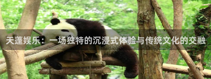 bb电子下载：天蓬娱乐：一场独特的沉浸式体验与传统文化的交融