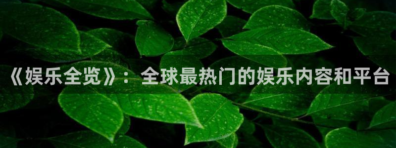 bb电子游戏：《娱乐全览》：全球最热门的娱乐内容和平台