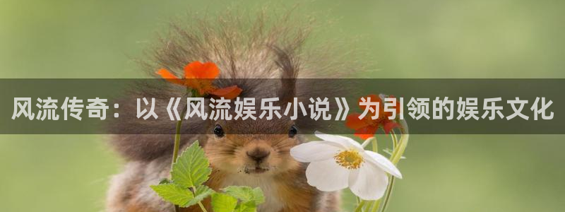 bb电子游戏娱乐平台：风流传奇：以《风流娱乐小说》为引领的娱乐文化