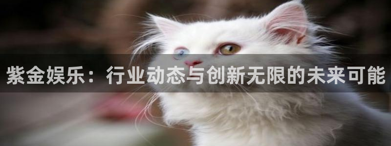 bb电子官网：紫金娱乐：行业动态与创新无限的未来可能