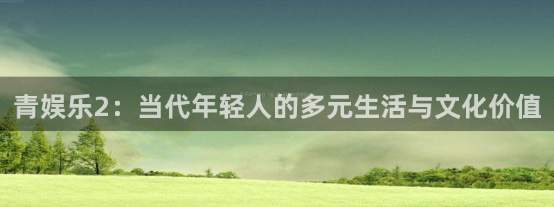 bb电子哪个平台好：青娱乐2：当代年轻人的多元生活与文化价值