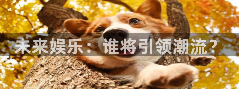 bb电子平台：未来娱乐：谁将引领潮流？